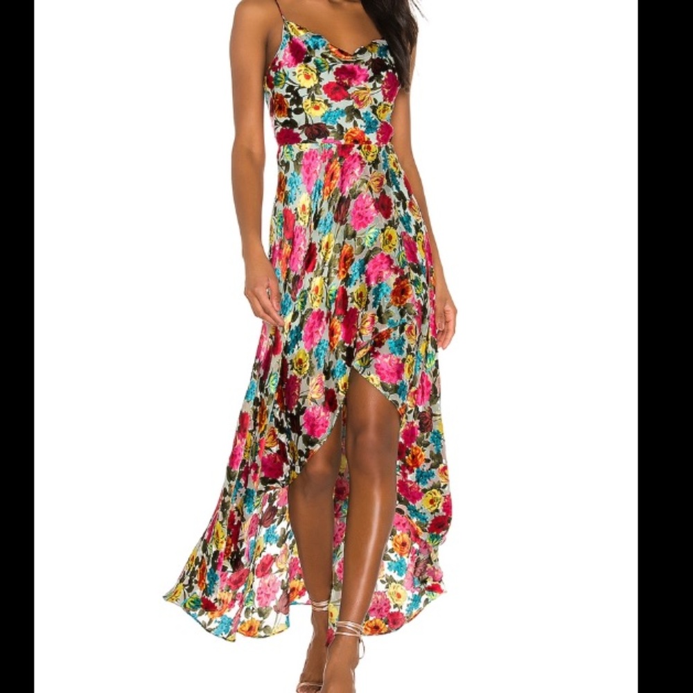 Alice and Olivia- Christina Hi Lo Dress (floral)